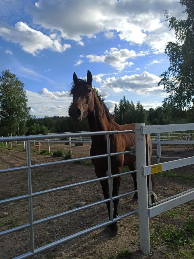 Appartamento Bb Polle - With The Horse View Mikkeli Esterno foto